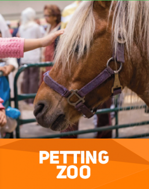 PettingZoo PettingZoo